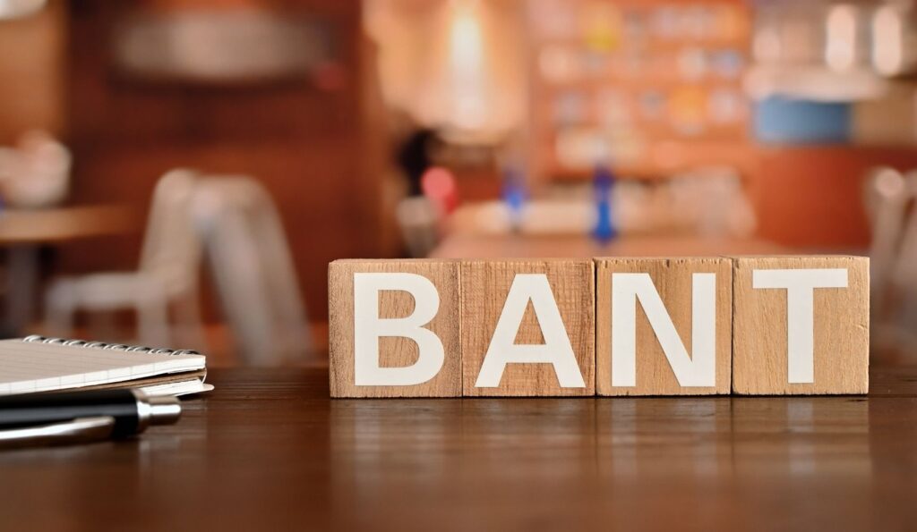 What is BANT Qualification?