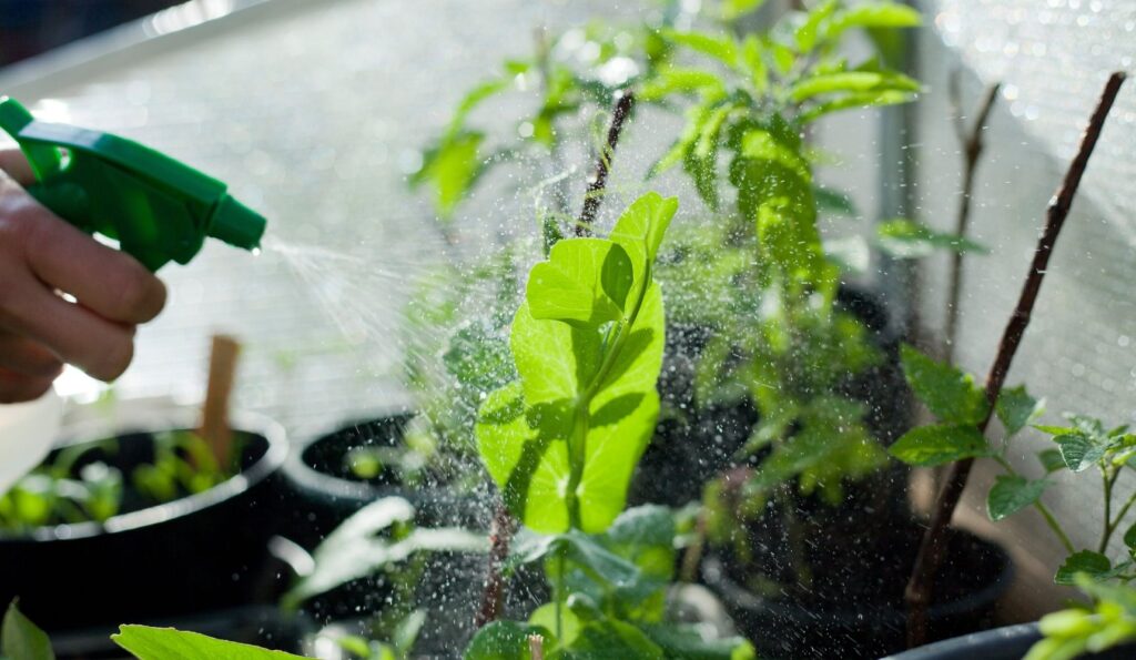 What is Lead Nurturing?