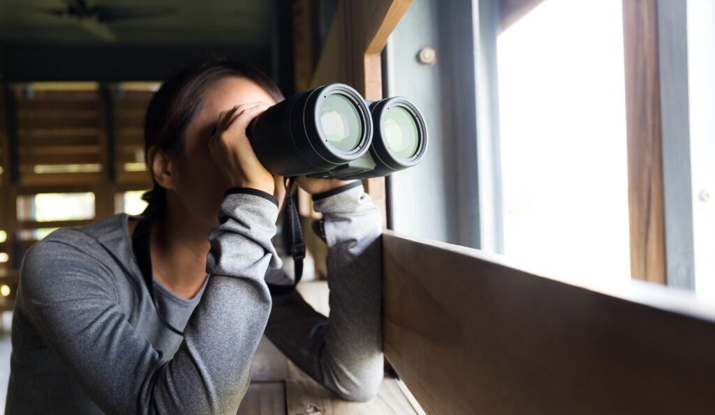 What is Search Engine Marketing?